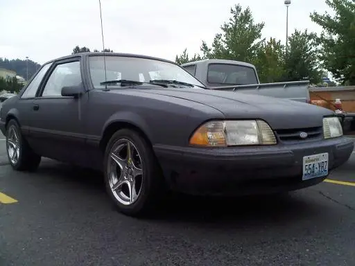 stang6.webp