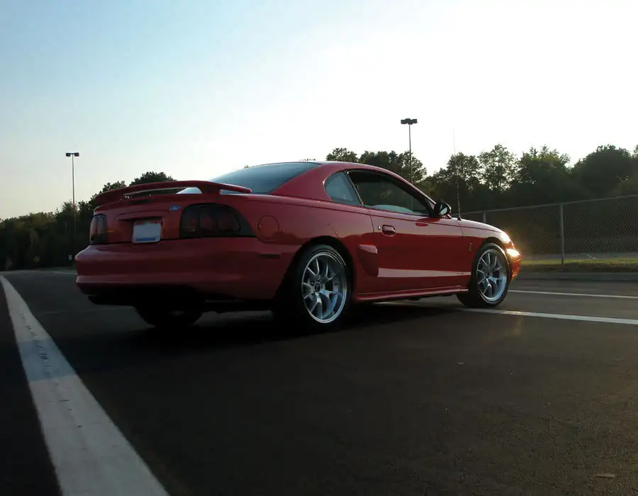 stang6.webp