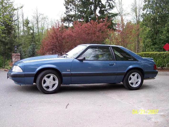 stang6.webp
