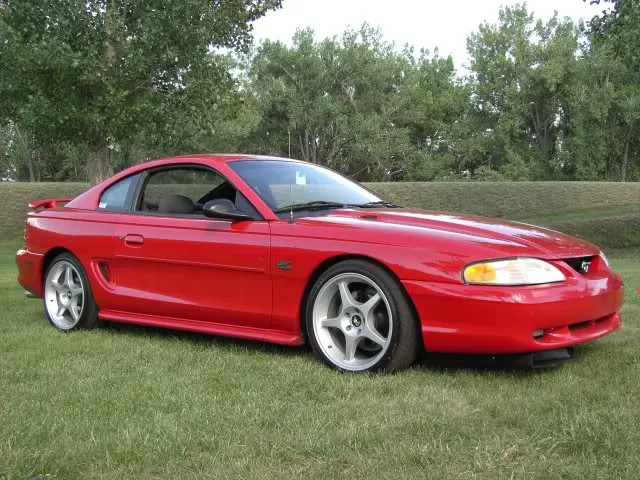 stang6.webp