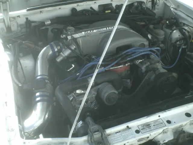 stang6.webp