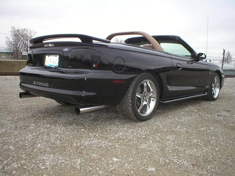 stang6.webp