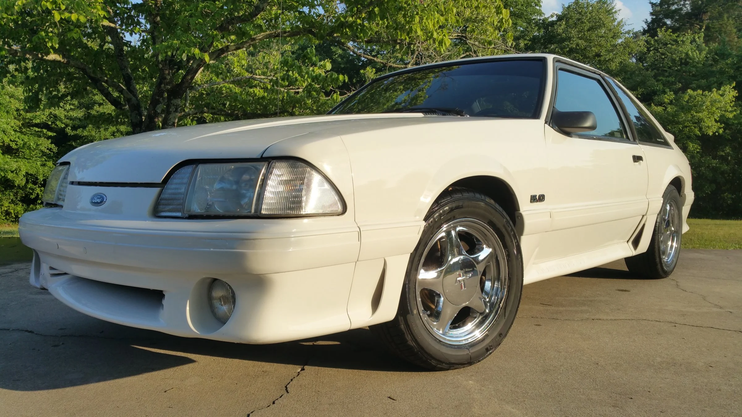 stang6.webp