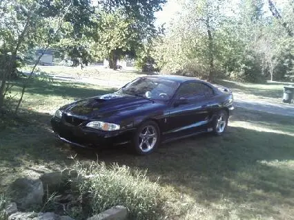 stang6.webp