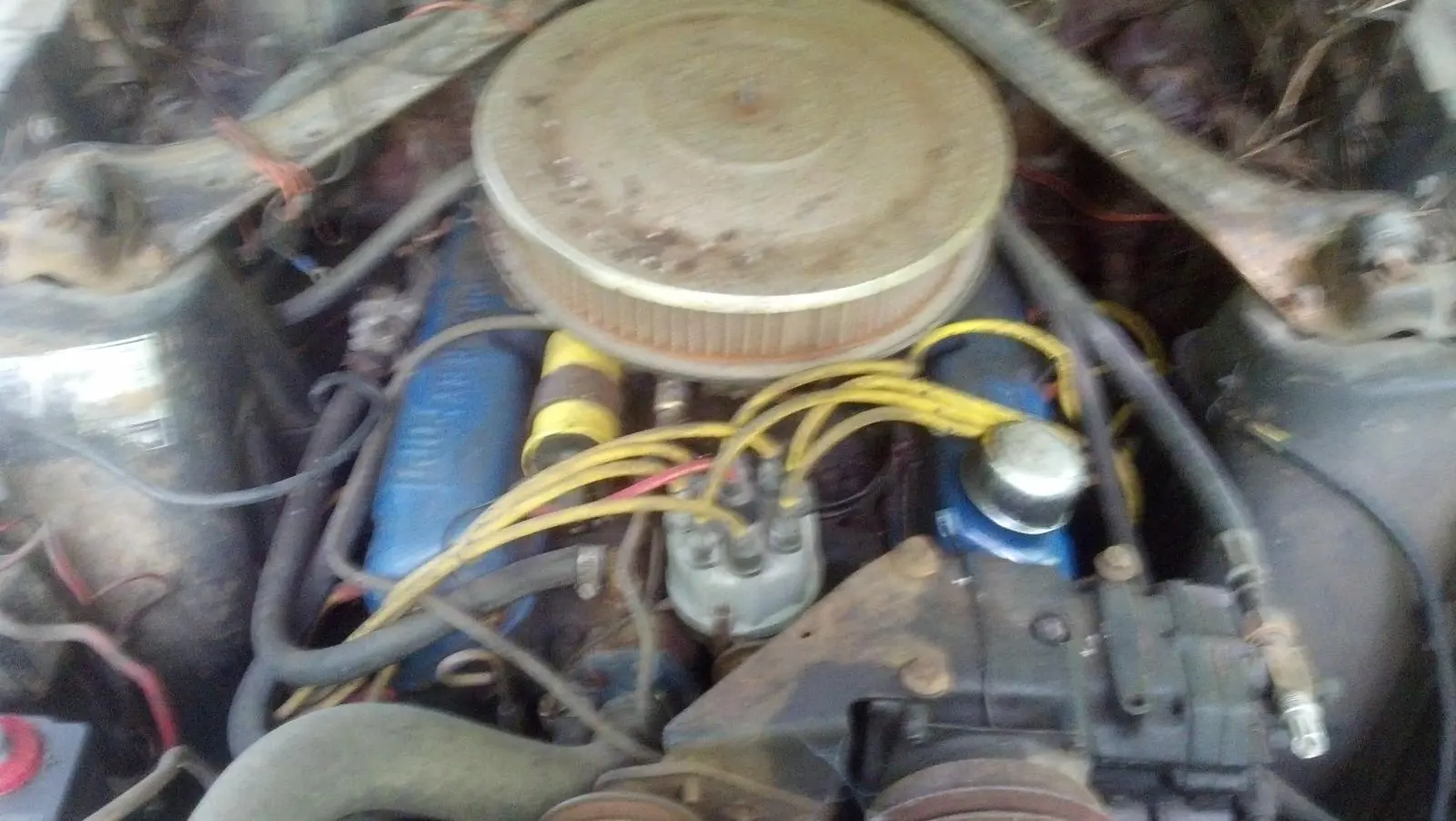 stang6.webp