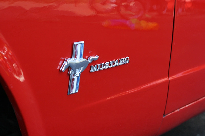 Stang6_800.webp
