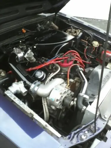 stang7.webp