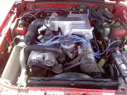 stang7.webp