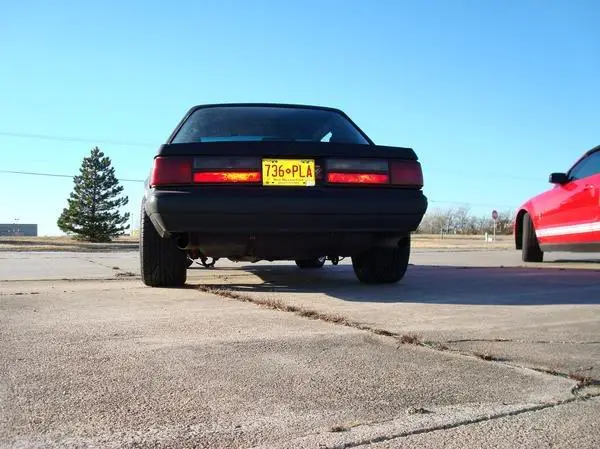 stang7.webp