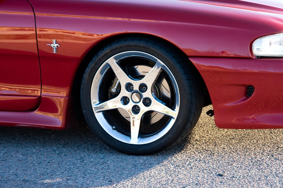 stang7.webp