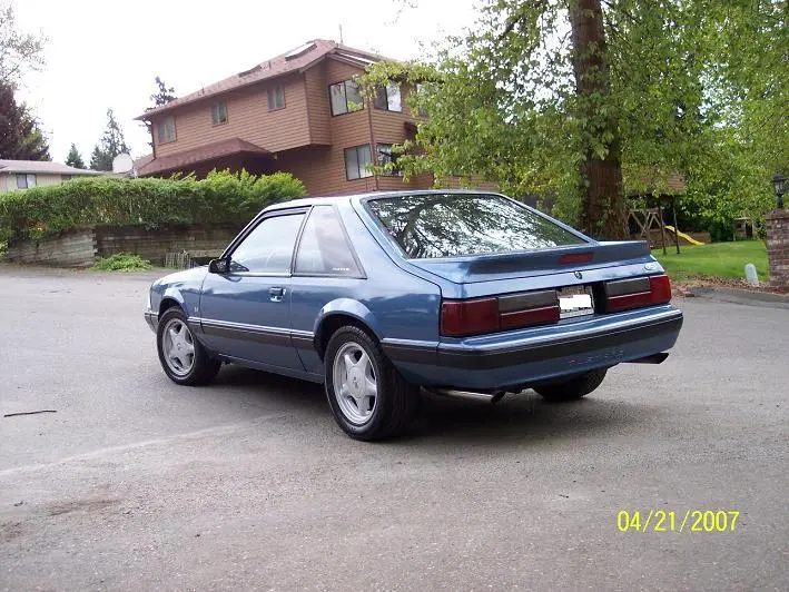 stang7.webp