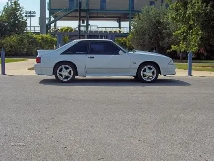 stang7.webp