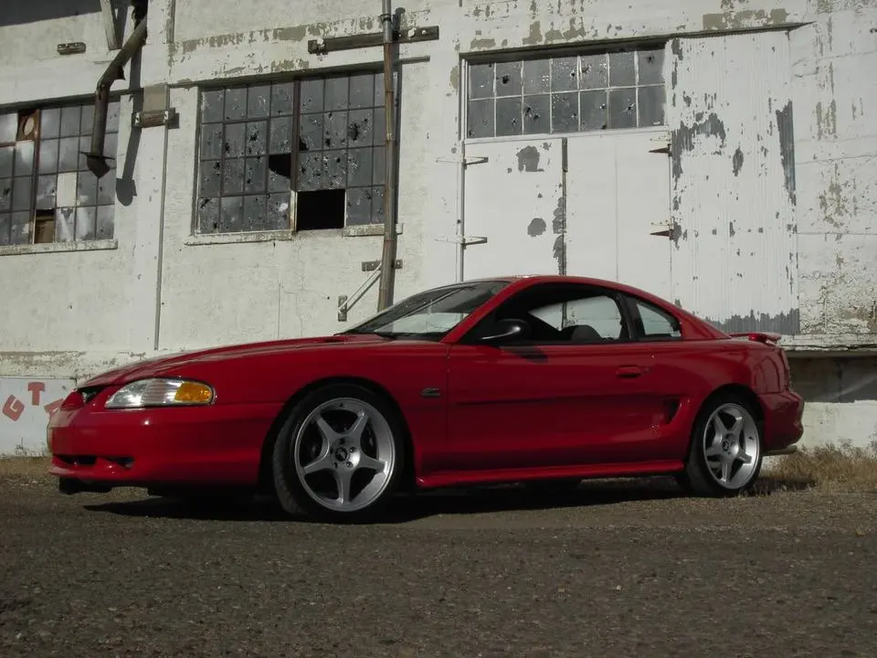 stang7.webp