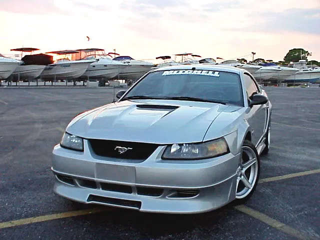 Stang7.webp