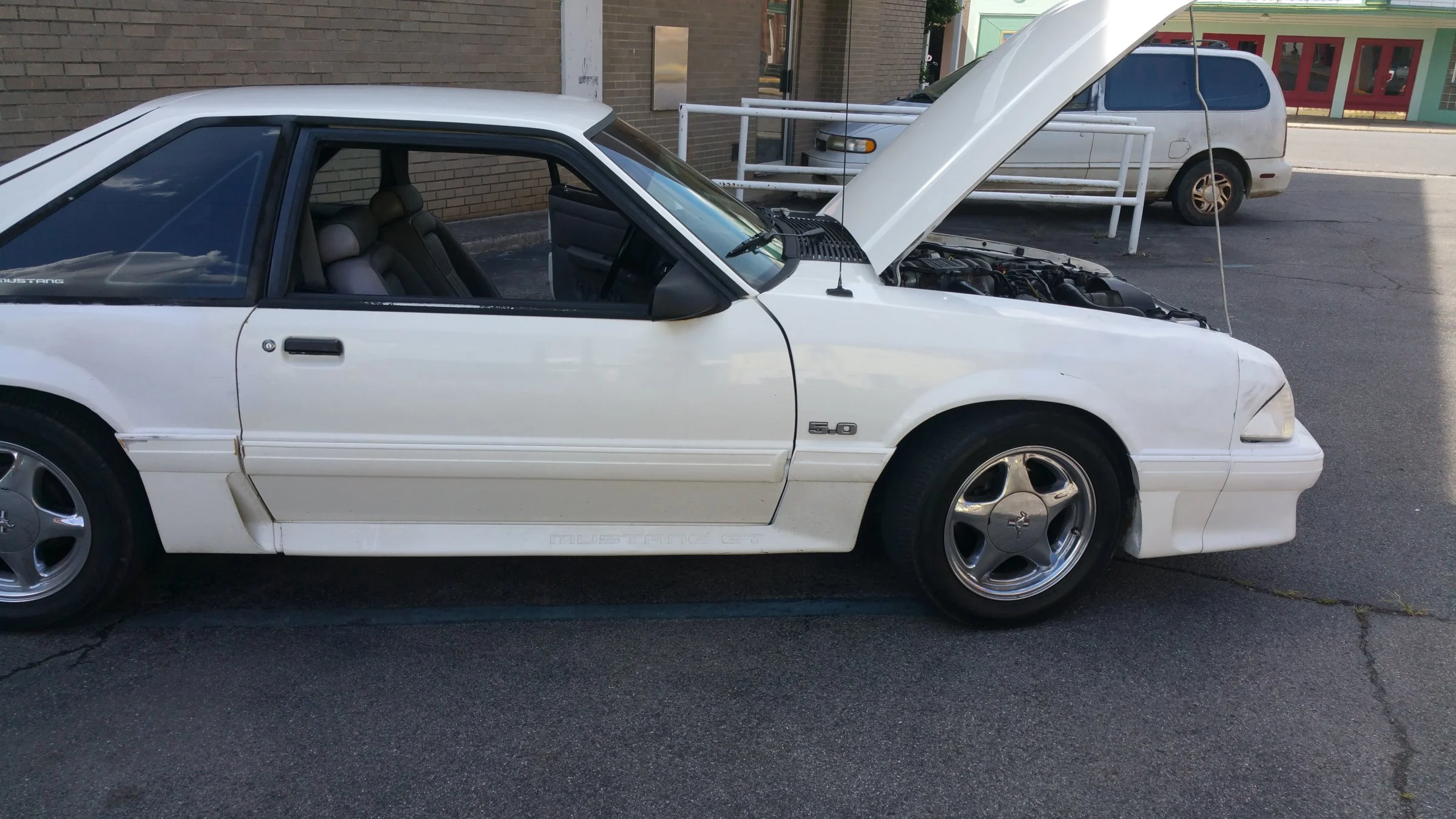 stang7.webp