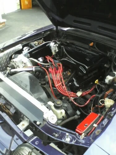 stang8.webp