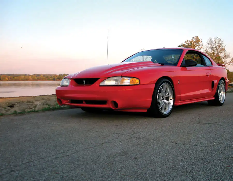 stang8.webp