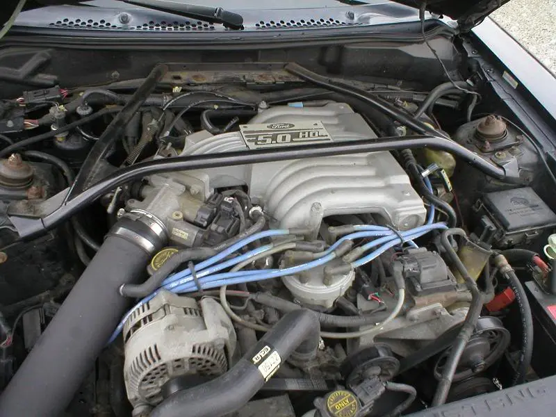 stang8.webp