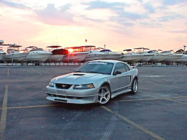 Stang8.webp