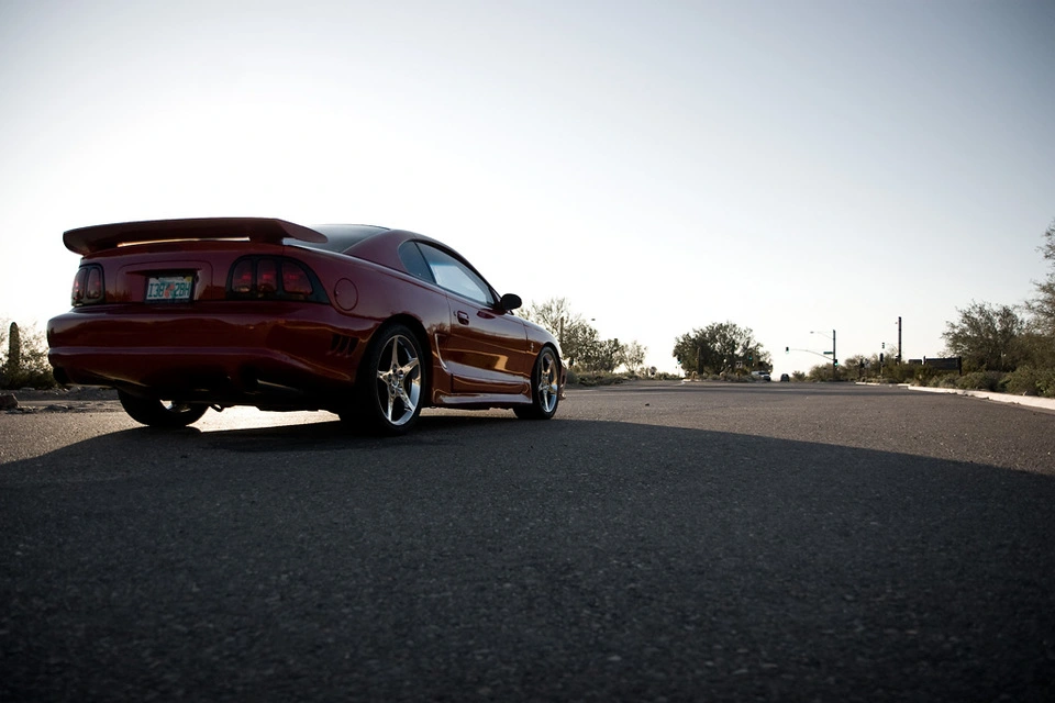 stang9.webp