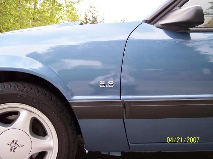 stang9.webp