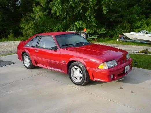 Stang_001.webp