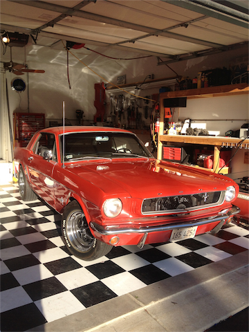 Stang_001.webp