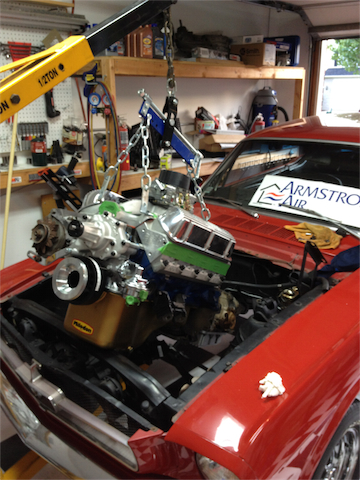 Stang_002.webp