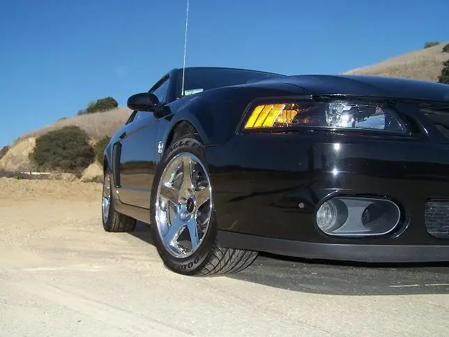 Stang_06.webp