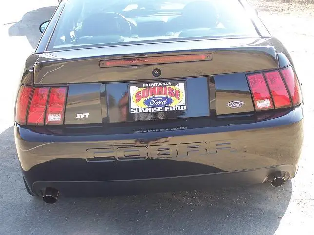 Stang_11.webp