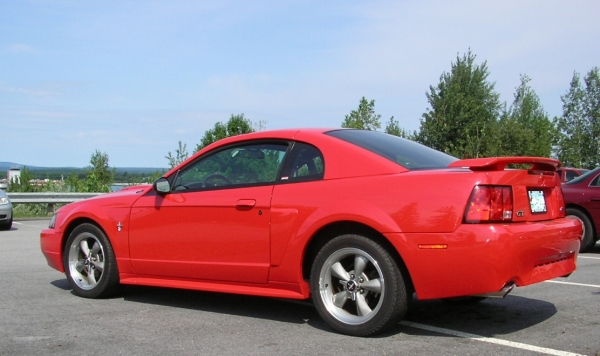 stang_C-springs.webp