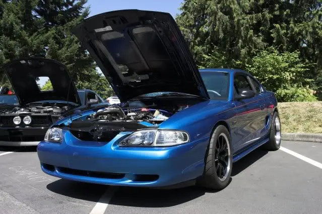 Stang_Guemes_CRW_0653-01-1.webp