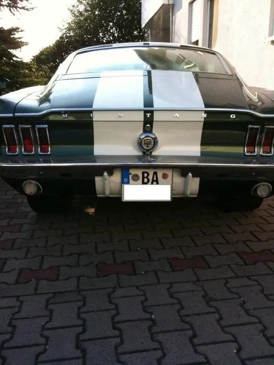 Stang_Incognito.webp
