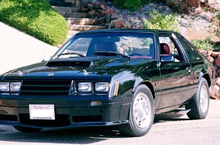 stang_profile.webp