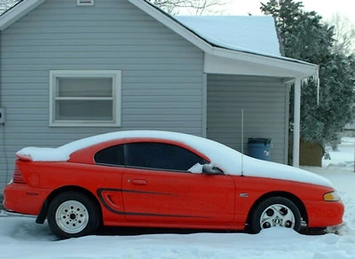 stang_snow.webp