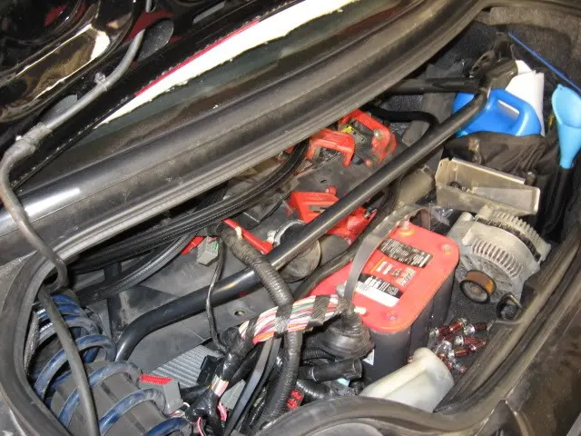 stang_trunk.webp