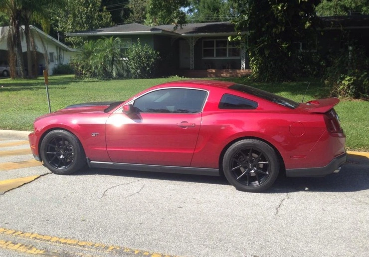 stang_zps72661c7d.webp