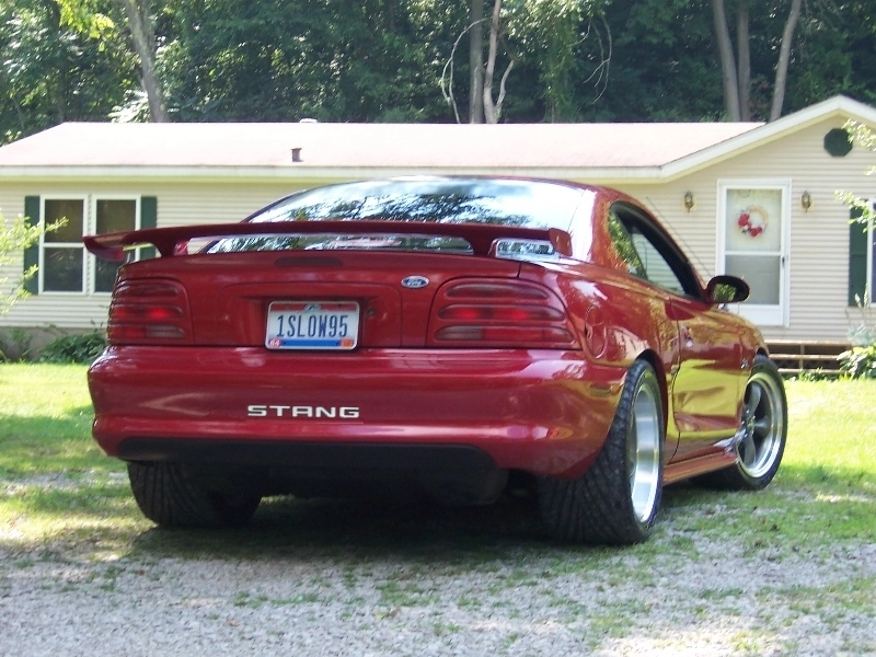 stangbumper.webp