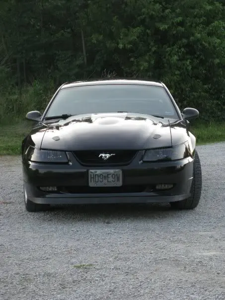 stangfront2.webp