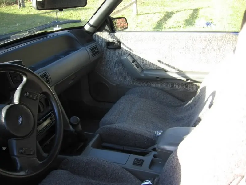 stanginterior.webp