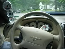 stangjunkie16.webp