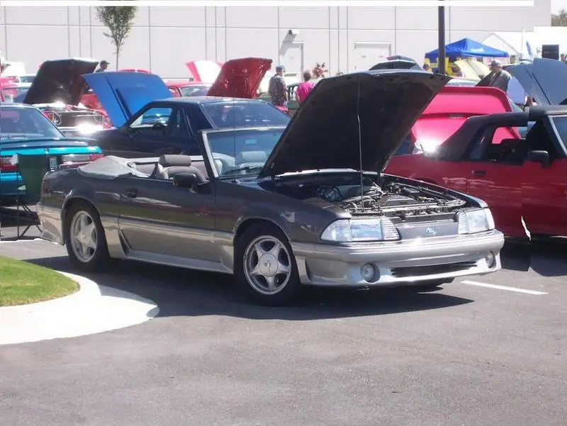 stanglowered1.webp