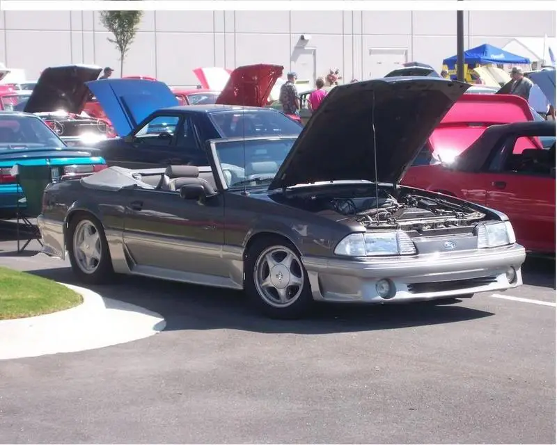 stanglowered2.webp