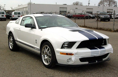 stangnet_gt500.webp
