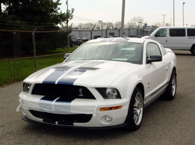 stangnet_gt5003.webp