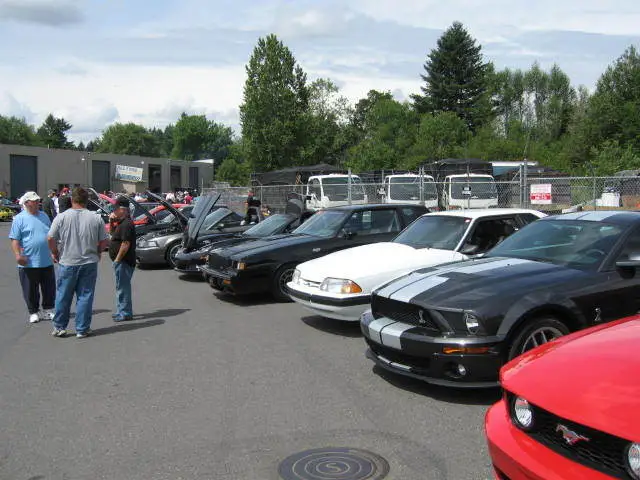 stangnetmeet003.webp