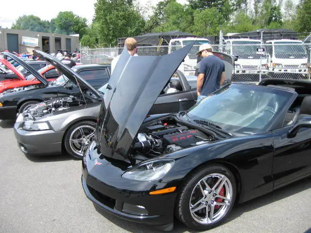 stangnetmeet004.webp