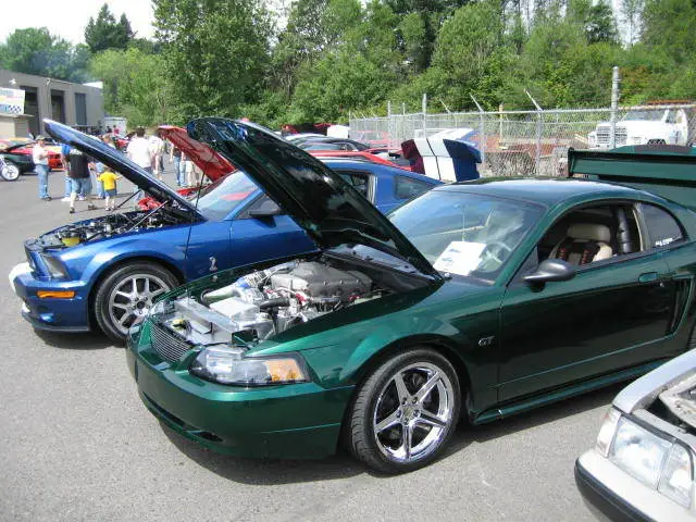 stangnetmeet005.webp