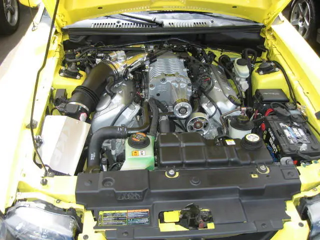 stangnetmeet007.webp