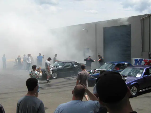 stangnetmeet010.webp